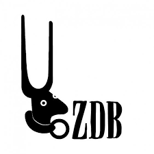 photo of Galeria Zé dos Bois 